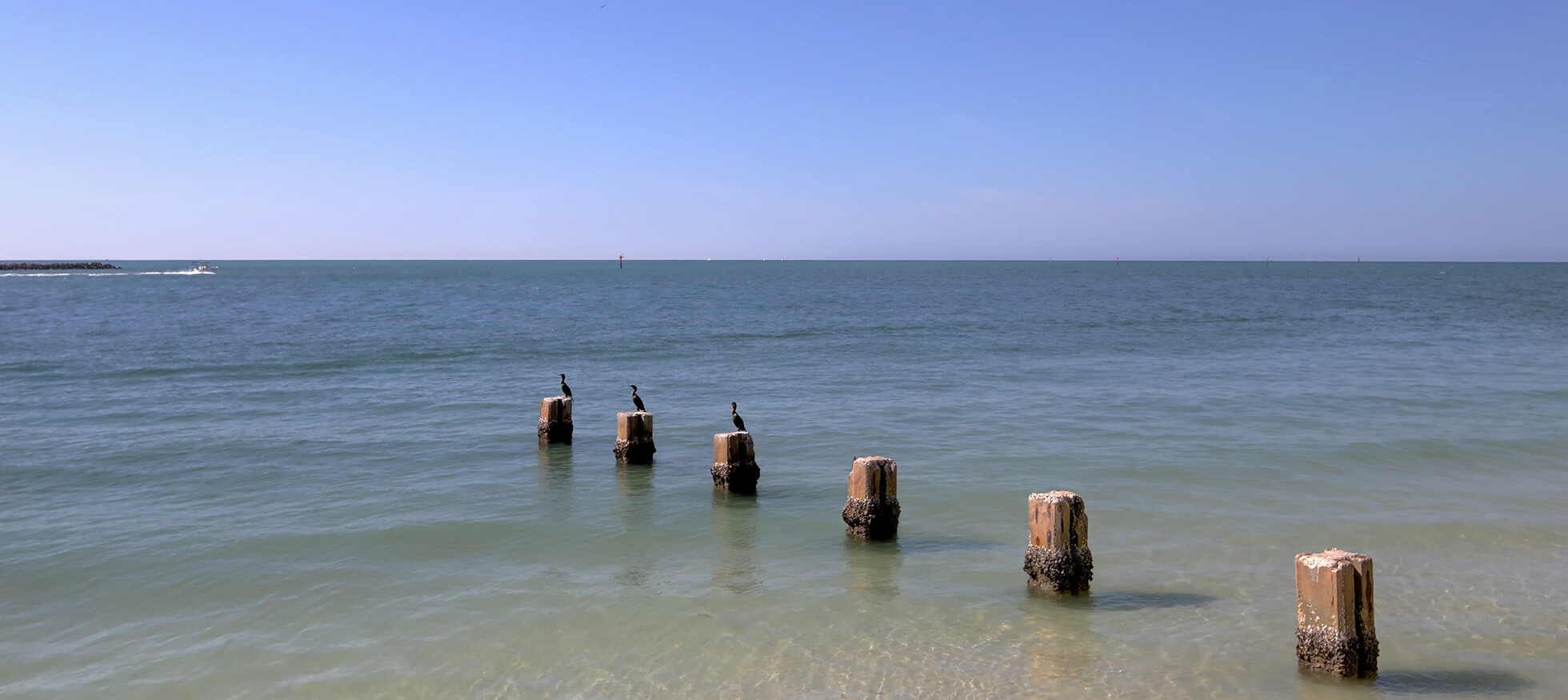 Clearwater Beach Condo for Sale Direct Gulf Front View 440 S Gulfview