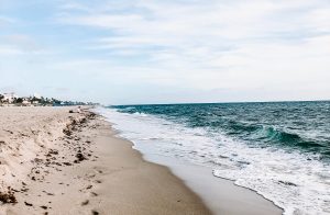 Real Estate in Florida