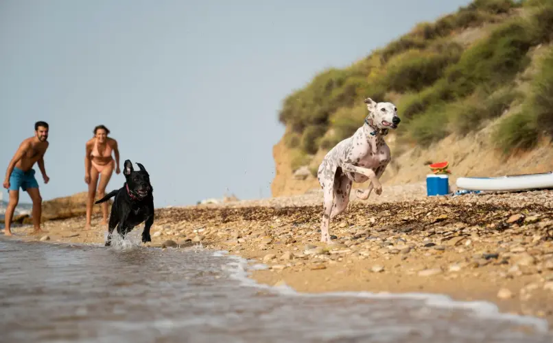 Why Clearwater Feels Easy To Live In